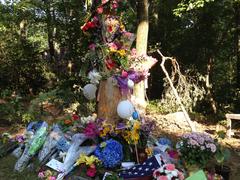 Calling Hours for Jane Modlesky Tonight, Funeral Friday